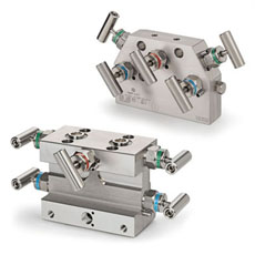 5 Way Manifolds